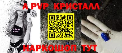spice Кунгур