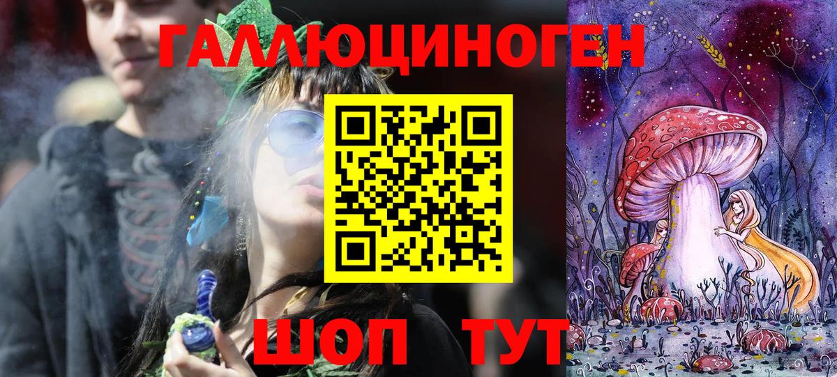 Арсеньев  Галлюциногенные грибы Cubensis  Вход с VPN 