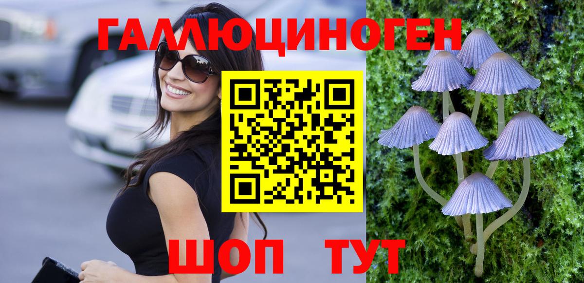 Псилоцибиновые грибы GOLDEN TEACHER Арсеньев